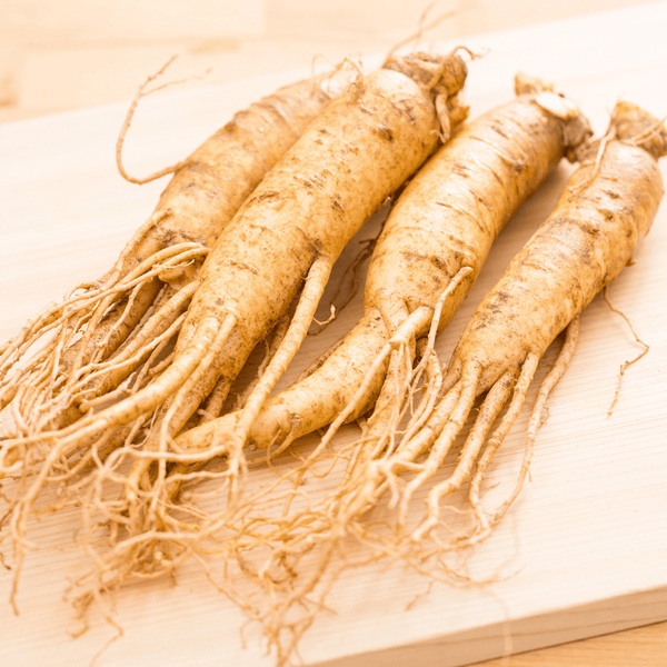 Ginkgo Biloba och Ginseng